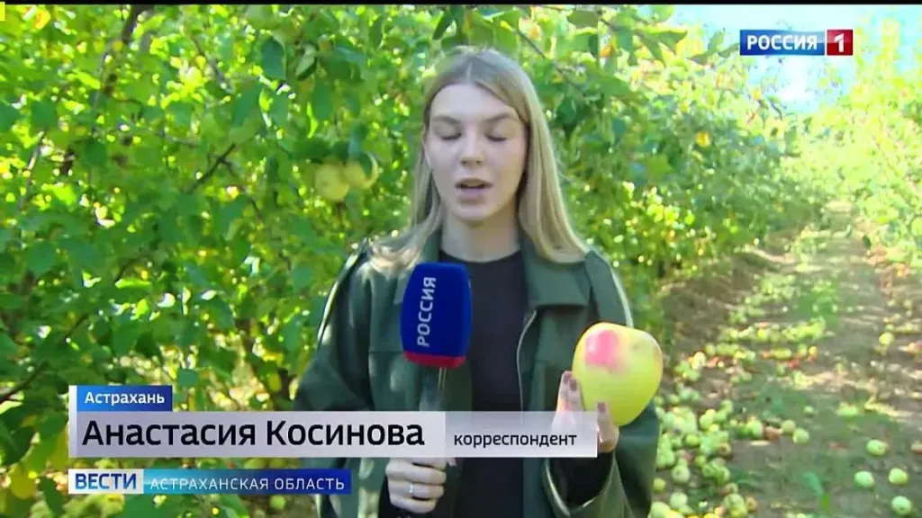 В Астраханской области испытывают 25 сортов яблок