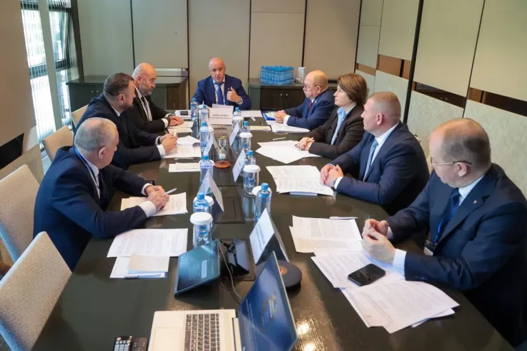 Думе Астраханской области поддержали инициативу о догазификации СНТ