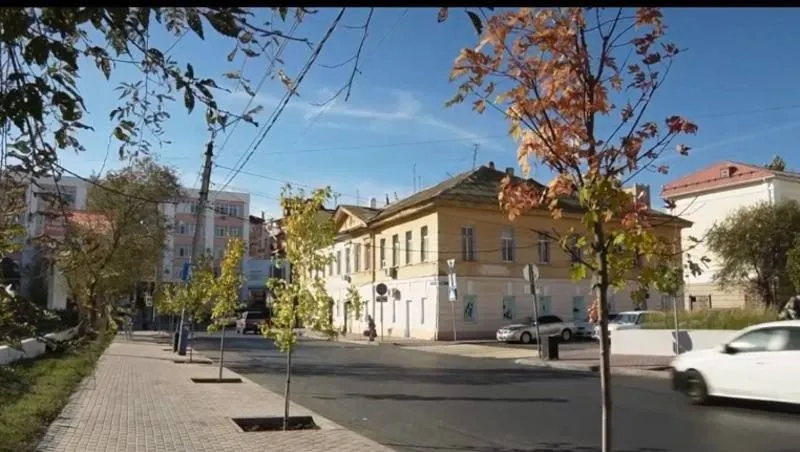 На улице Володарского в Астрахани высадят более 60 деревьев
